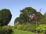 Luxury Accommodation in Dorset